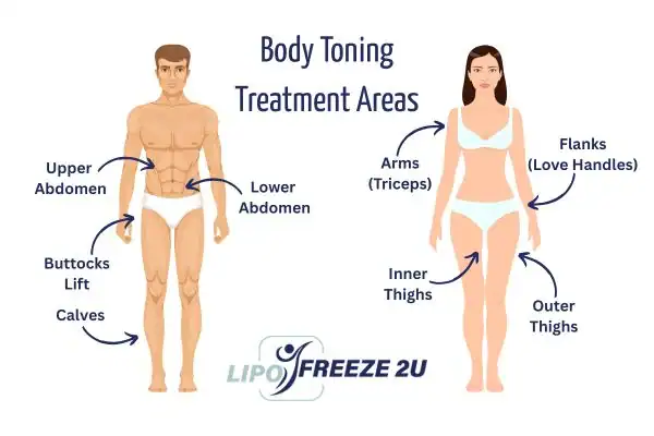 Graphic showing where you can have Body toning Treatment Herne Bay on your body